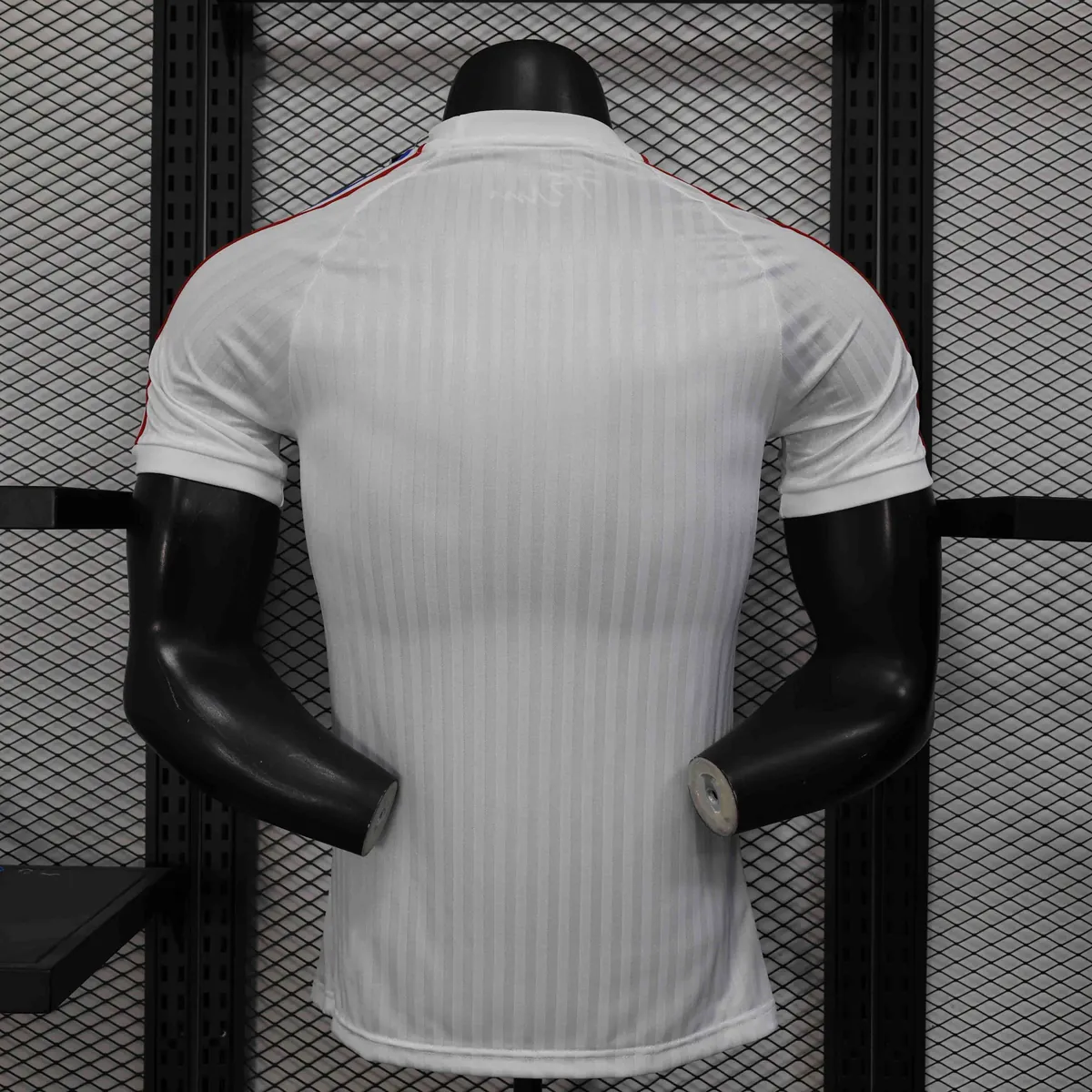 25-26 Lyon 75th Anniversary Special Edition Kit Player Version Shirt AAAAJersey Wholesale Yupoo 3