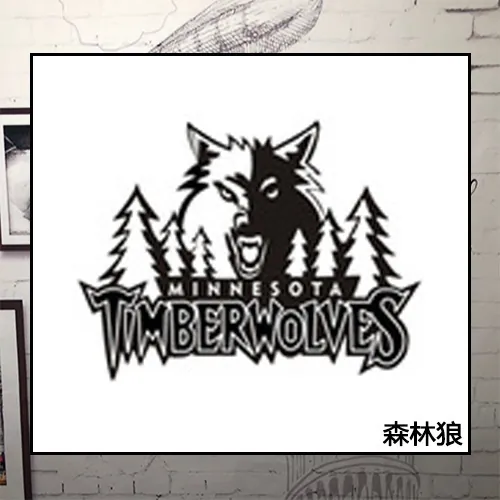 Minnesota Timberwolves 1