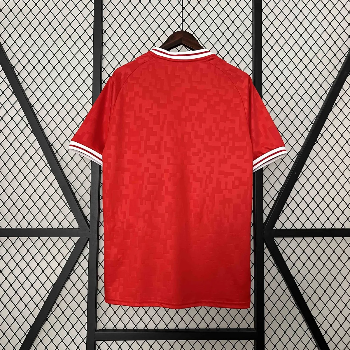 2024 Denmark Home Kit UEFA Euro Shirt Football Replicas Yupoo 1