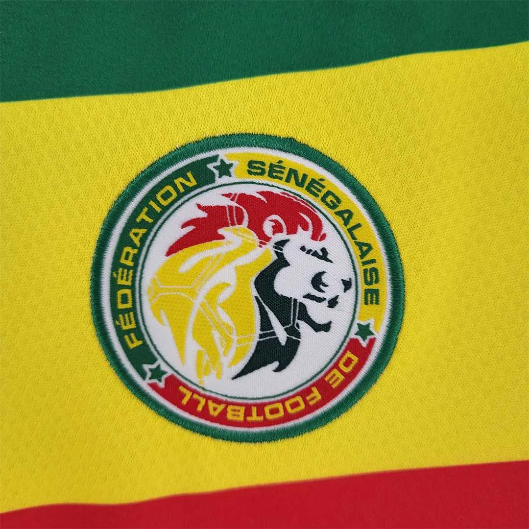2022 Senegal home 2