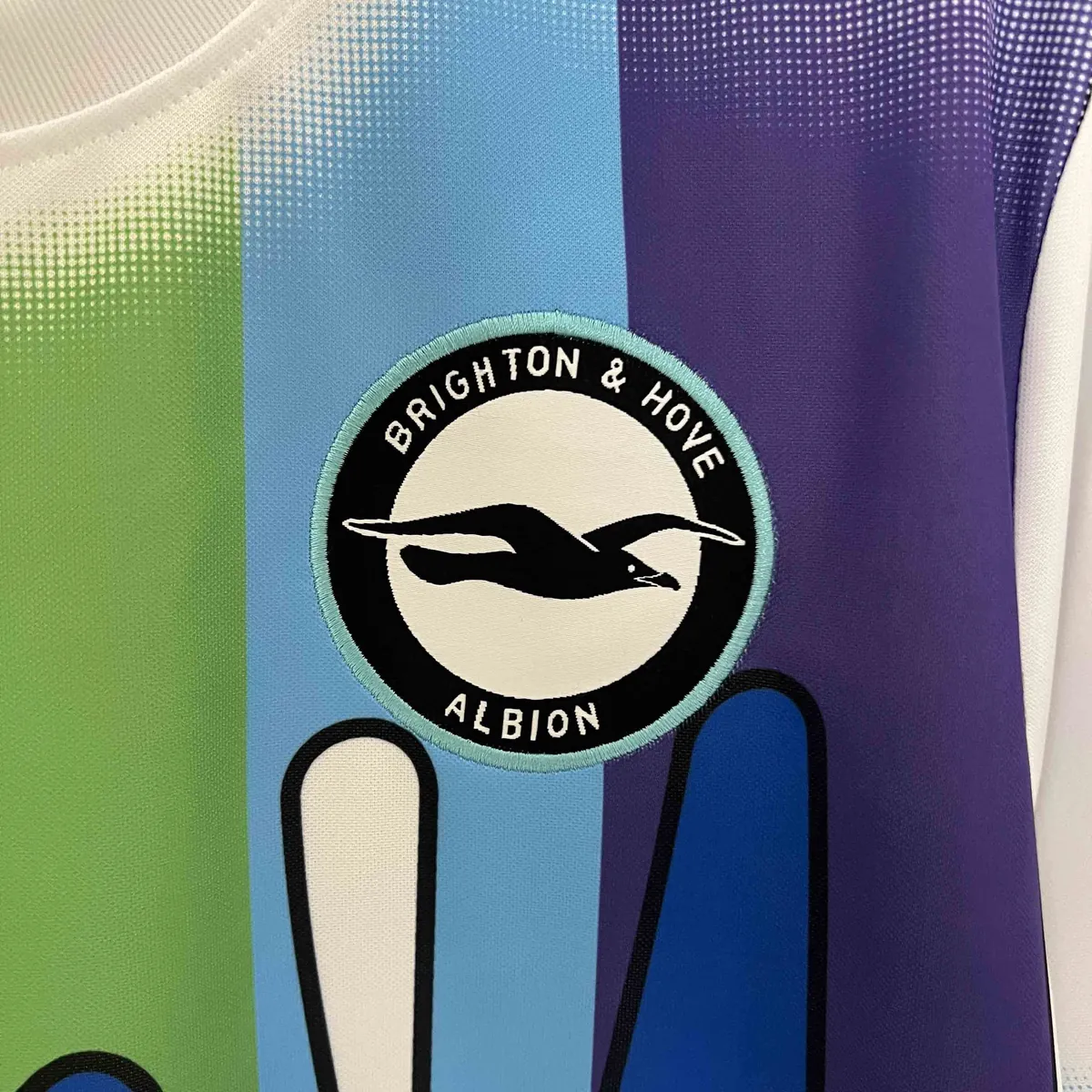 24-25 Brighton & Hove Albion Rainbow Laces Pre-Match Shirt AAAAJersey Supplier Yupoo 3