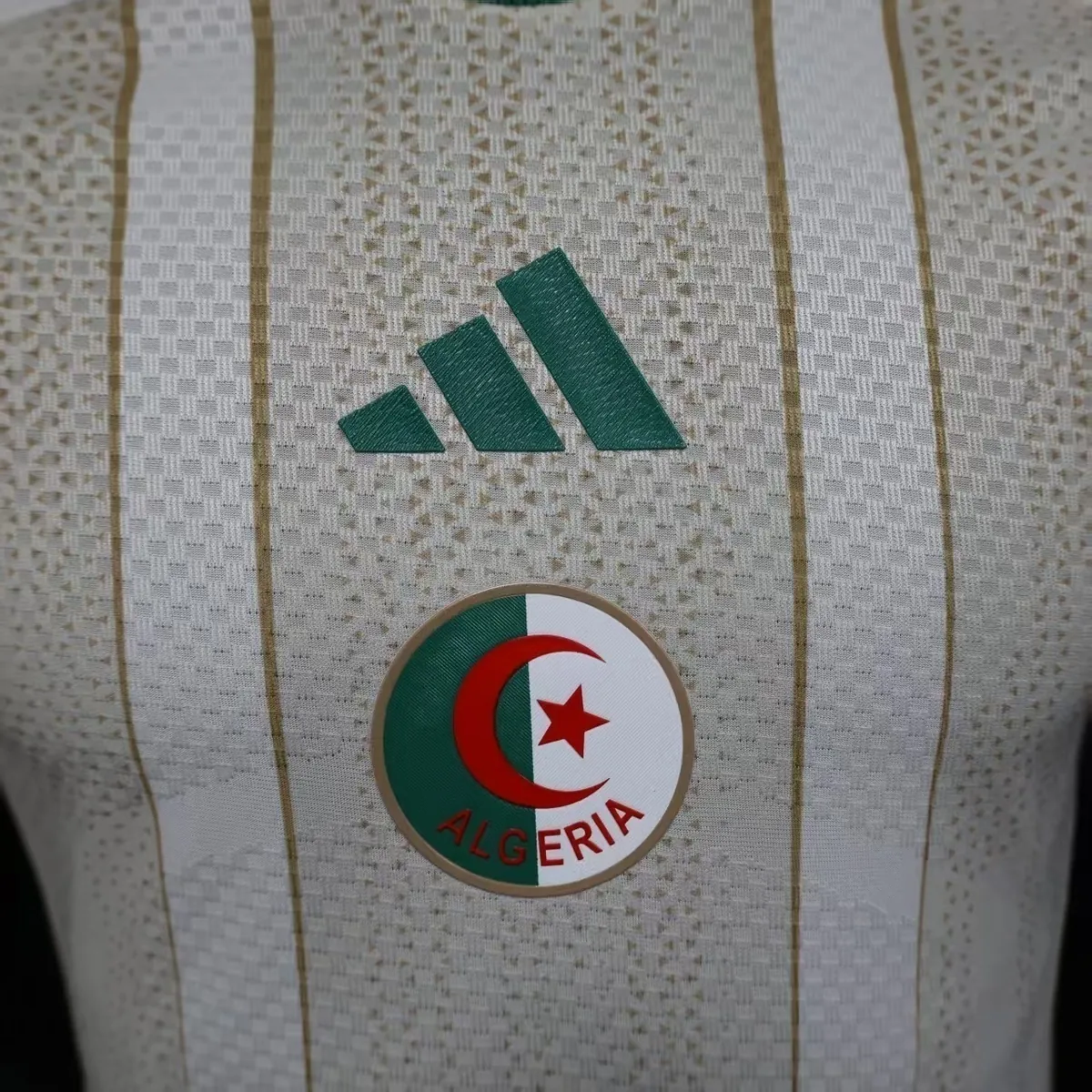 2026 World Cup Algeria Home Kit Football player version T-Shirt AAAAJersey Supply Yupoo 2