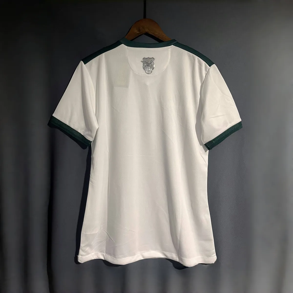 2024 Bolivia Away Kit Copa America Uniform Soccer AAAAJerseys Yupoo 1