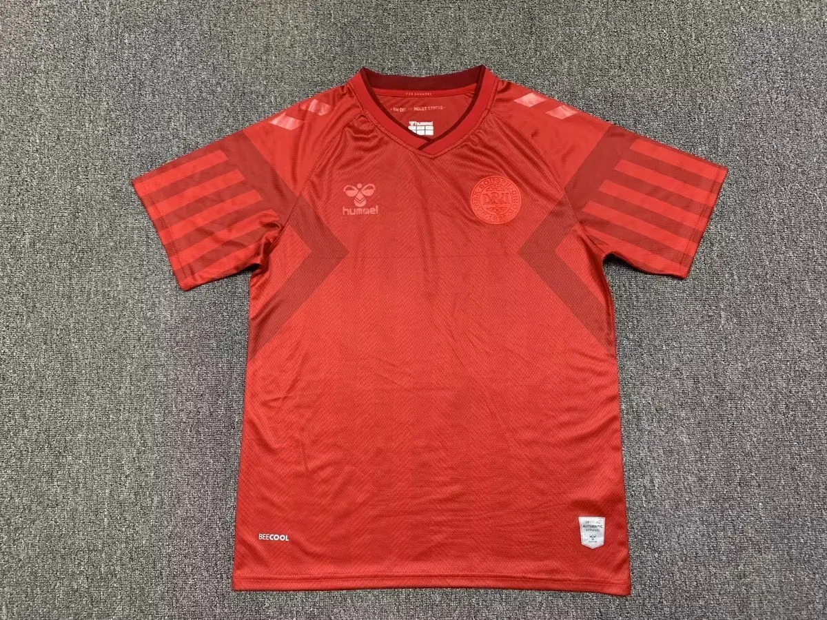 2022 Denmark home 3