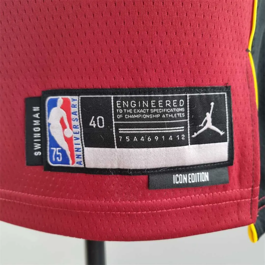 75th Anniversary Miami Heat Jordan HERRO#14 Burgundy NBA Jersey 6