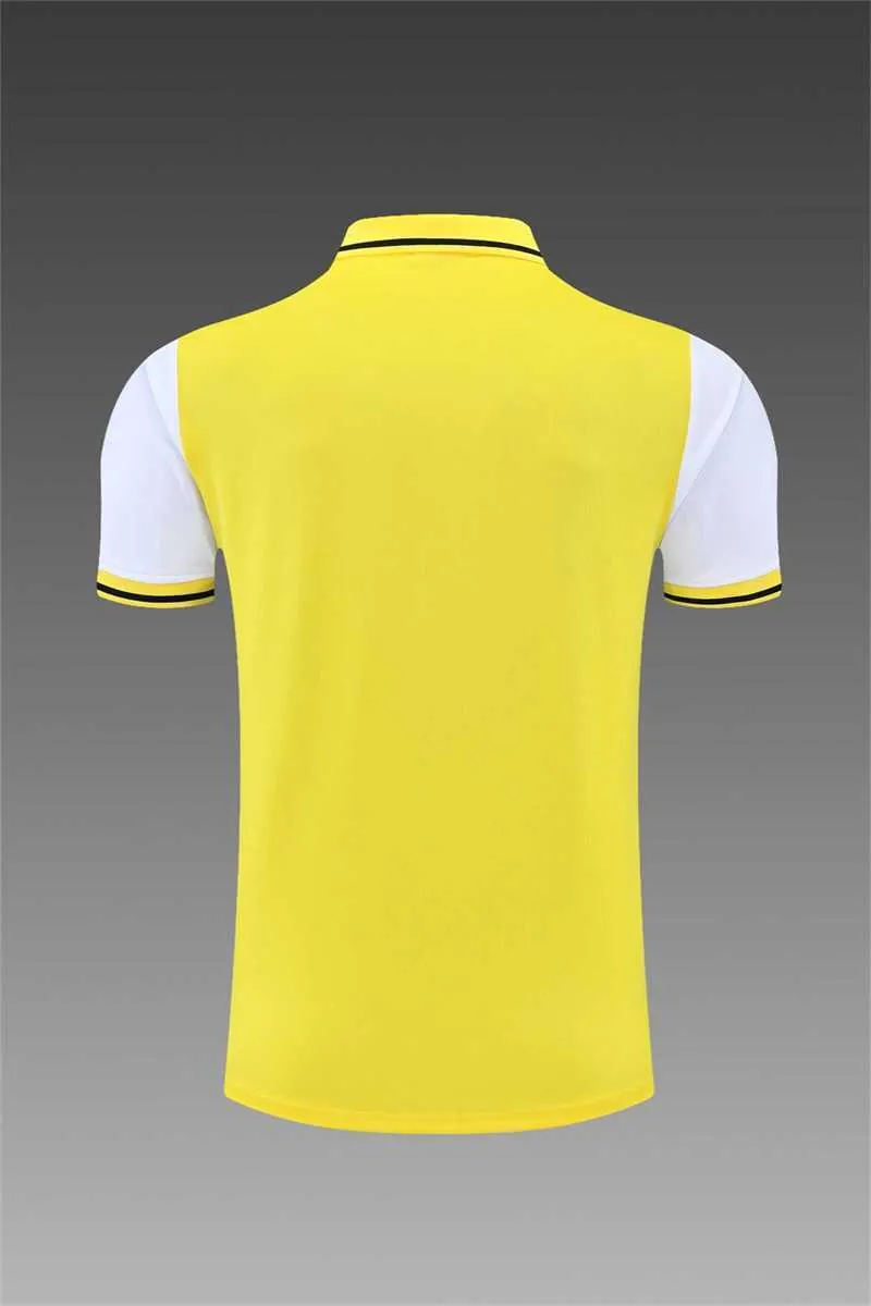 Polo Dortmund yellow 14