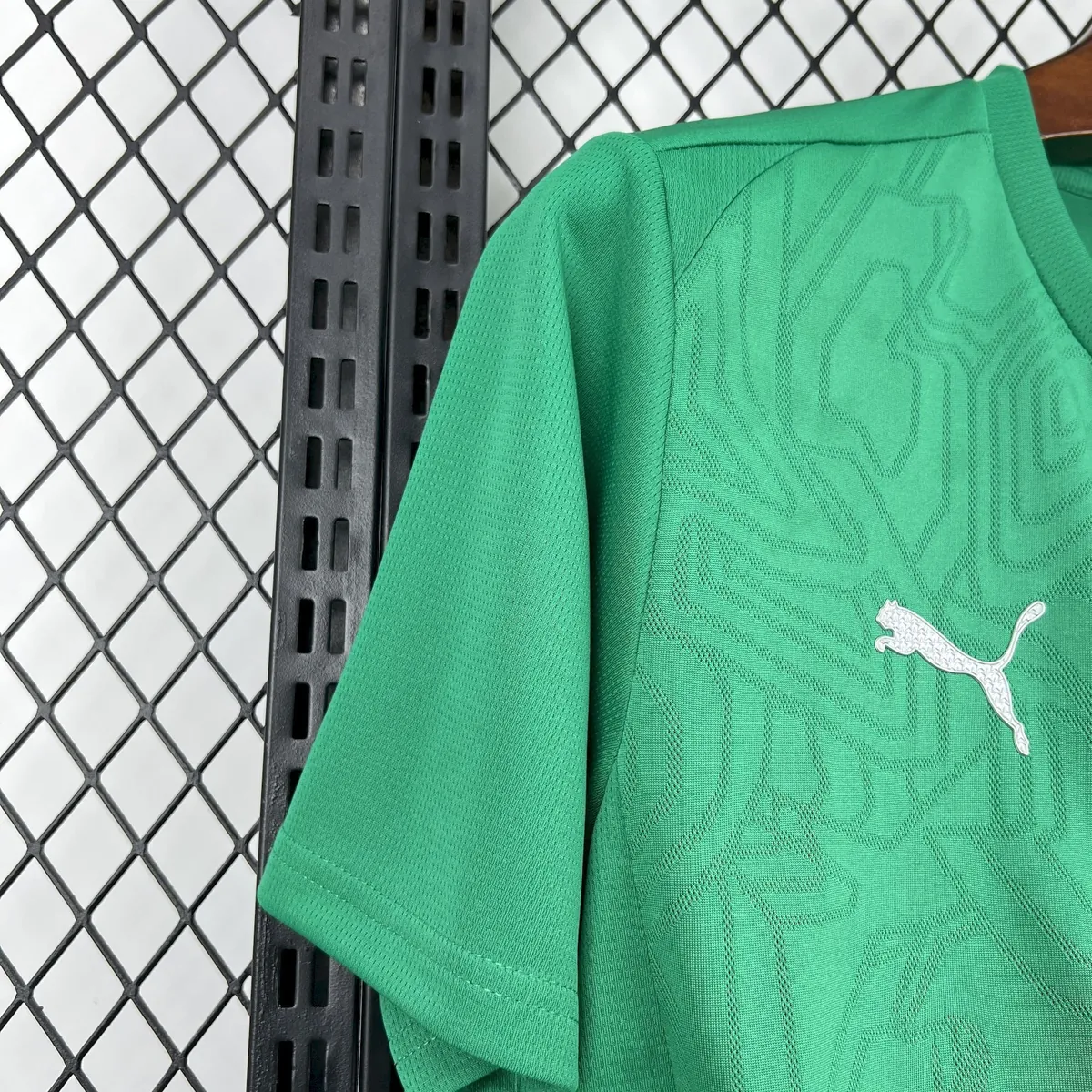 25-26 Palmeiras Training Kit Soccer T-Shirt AAAAJersey Supply Yupoo 4