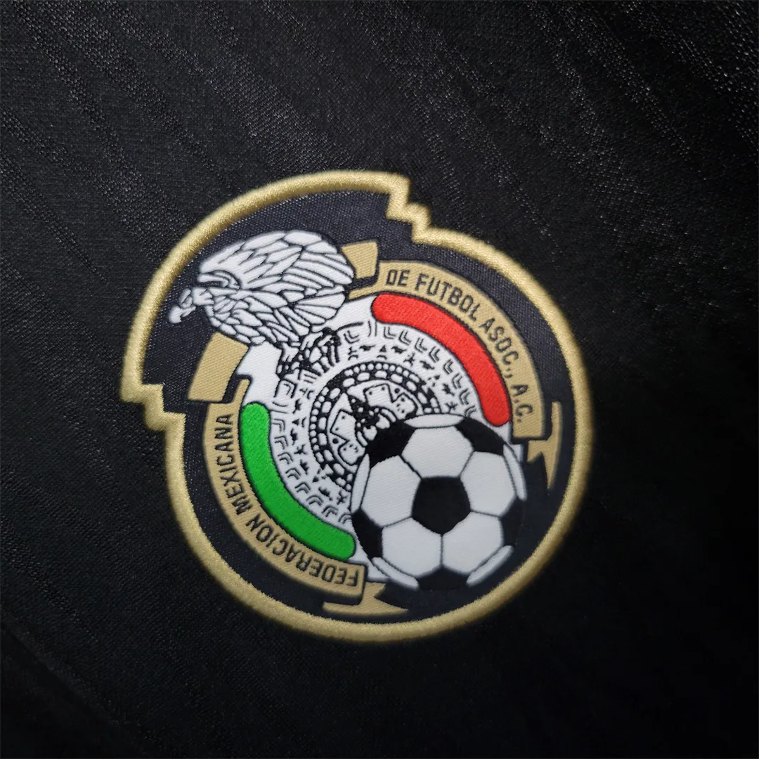 2010 Mexico away 5