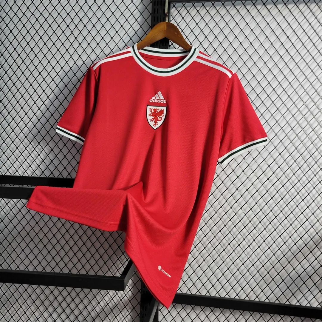 2022 Wales home 2