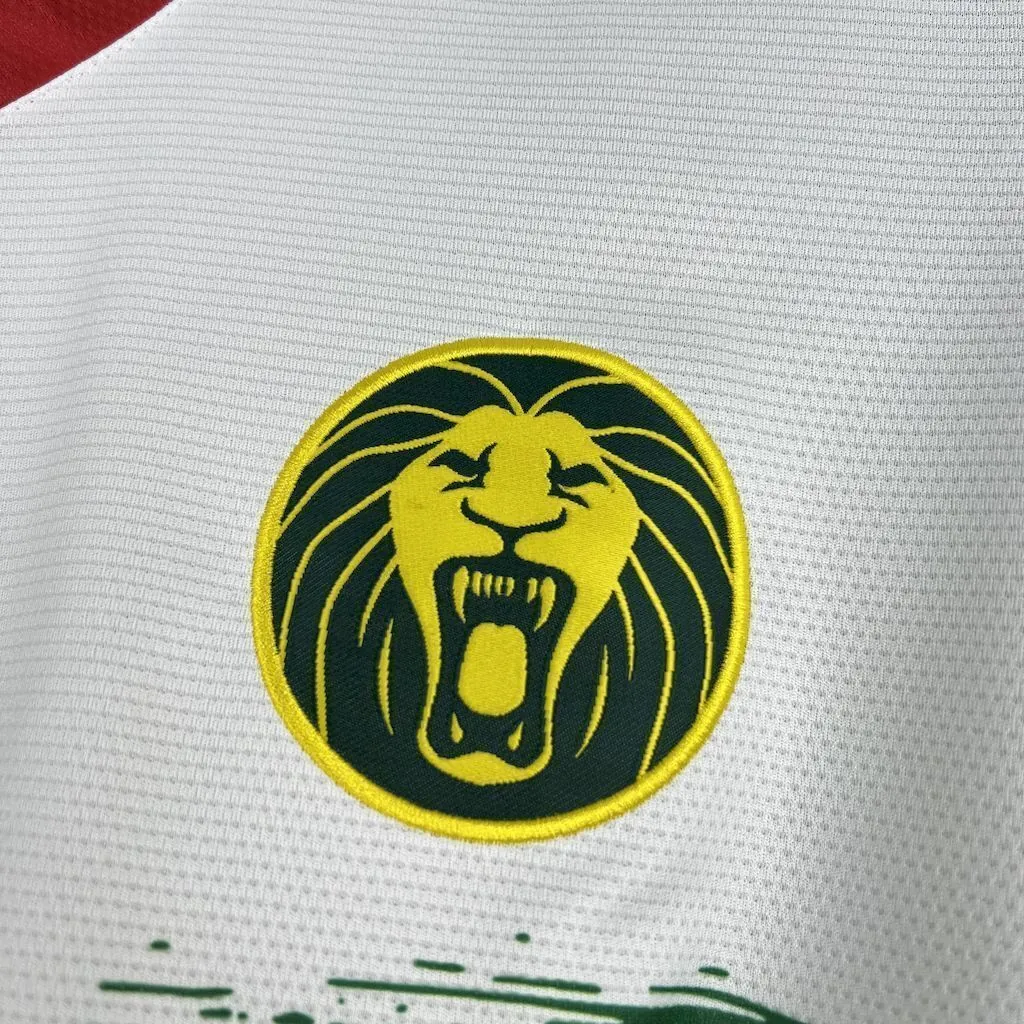 2025 Cameroon Third Away Kit Football T-Shirt AAAAJersey Supply Yupoo 4