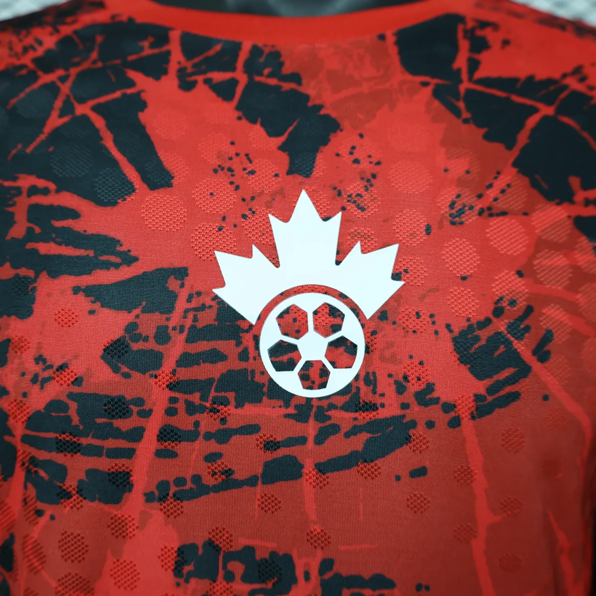 2026 Canada Mens Kits Player Special Edition Soccer T-Shirt AAAAJersey Supply Yupoo 7