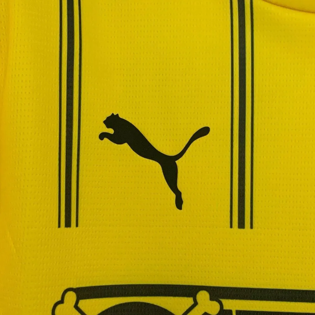 25-26 Borussia Dortmund x One Piece Special Edition Kit Football T-Shirt AAAAJersey Wholesale Y 1