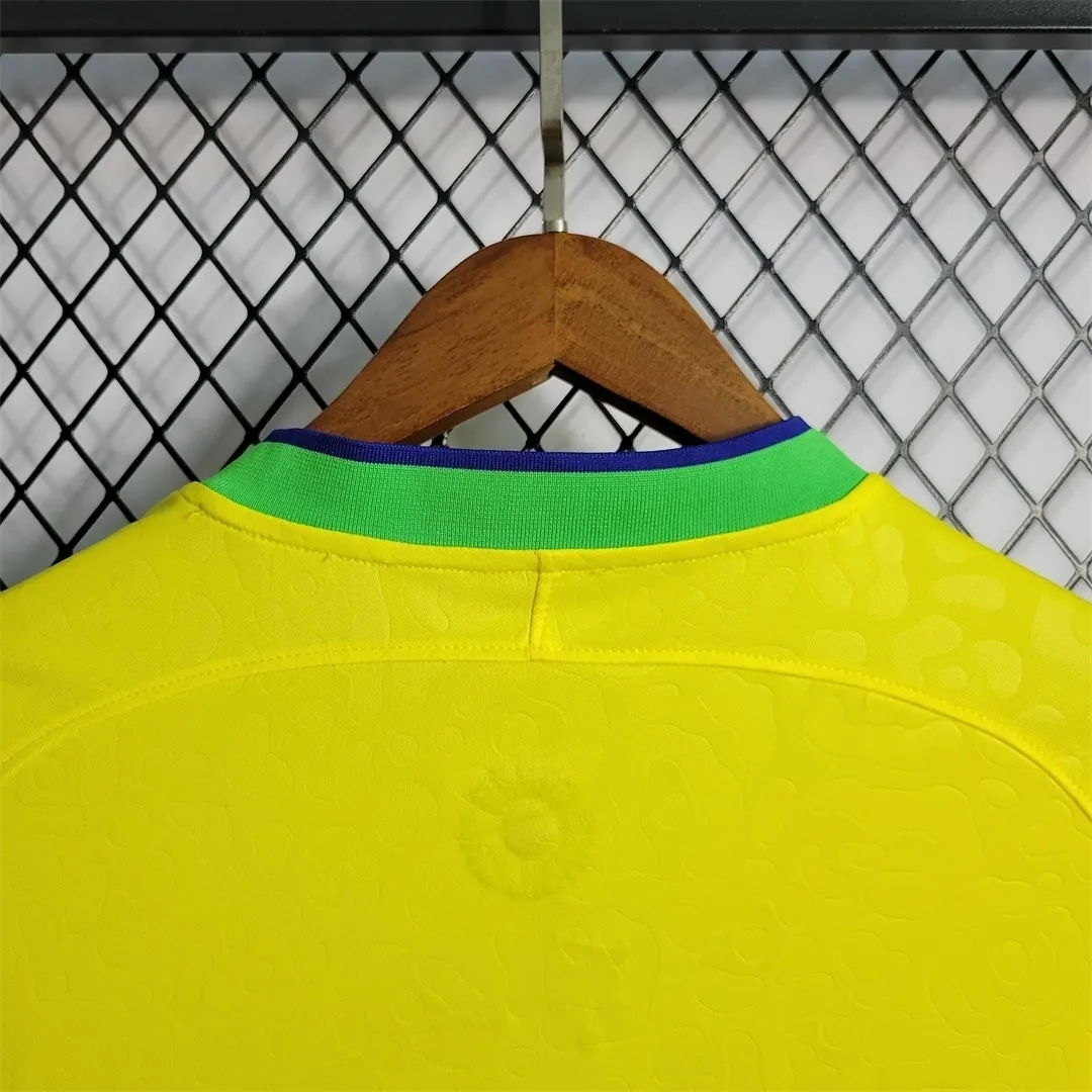 2022 Brazil home 2