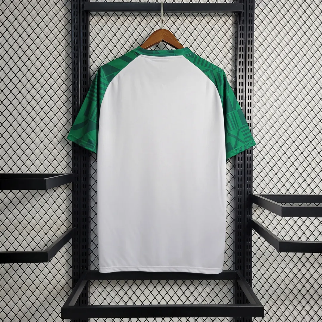 23-24 Palmeiras training suit white 2