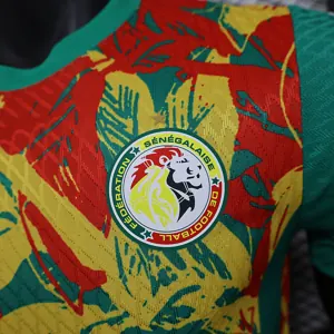 24-25 Senegal Pre-Match Kit Player Version Shirt Soccer AAAAJersey Yupoo 6