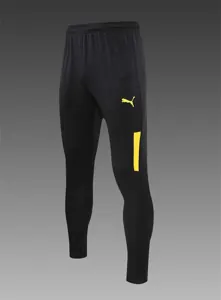 Polo Dortmund yellow 8
