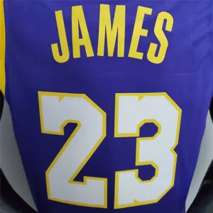 James #23 Lakers purple 1
