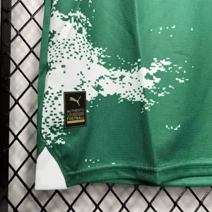 24-25 Palmeiras For a Greener Future Special Edition Kit AAAAJersey Supplier Yupoo 2