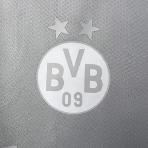 23-24 Dortmund Silvery White S-XXL best soccer jersey 2