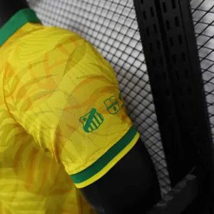 2024 Brazil Special Edition Kit Player Version Shirt AAAAJersey Supplier Yupoo 4