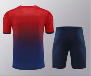 24-25 PSG Training Soccer Jerseys Football Shirts 1