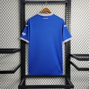 23-24 Hoffenheim home 2