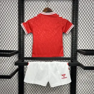 2024 Denmark Home Kid Kits UEFA Euro Youth Apparels AAAAJersey Supplier Yupoo 4