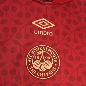 24-25 AFC Bournemouth Alternative Red Special Edition Shirt AAAAJersey Supplier Yupoo 2