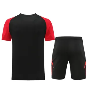 2024 Belgium Training Soccer Jerseys Football Shirts 2