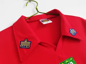 76-79 Wales home 5