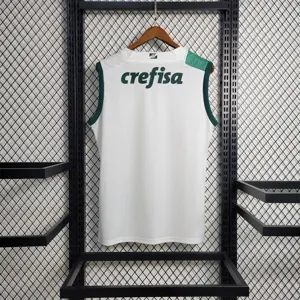 23-24 Palmeiras away tank 9