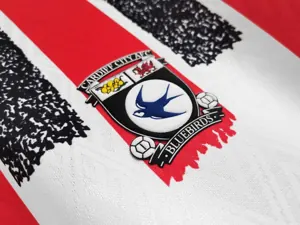 93-94 Cardiff City away 10