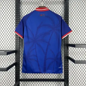 2026 World Cup FIFA Haiti Mens Home Kit Football T-Shirt AAAAJersey Supply Yupoo 5 5