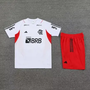 23-24 Flamengo Training Soccer Jerseys Yupoo 1