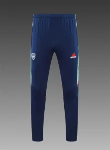 Polo Arsenal Sapphire 17