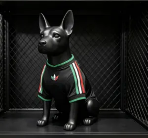 2026 World Cup Mexico Third Kit Pet Jersey Yupoo 3 5