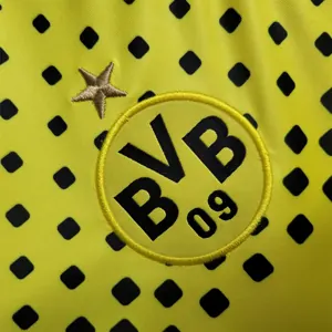11-12 Dortmund home 1