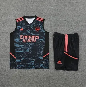 23-24 Arsenal Training Vest Kit S-XXL Soccer Jerseys 1