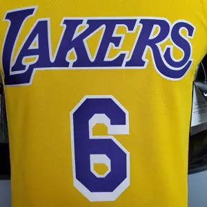 James #6 Lakers Round neck yellow 5