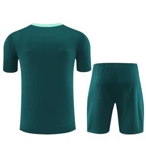 24-25 Tottenham Training Soccer Jerseys Football Shirts 2