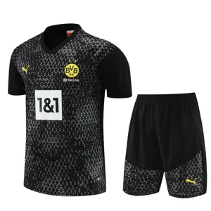 23-24 Dortmund Training Soccer Jerseys Yupoo