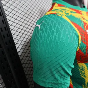 24-25 Senegal Pre-Match Kit Player Version Shirt Soccer AAAAJersey Yupoo 9