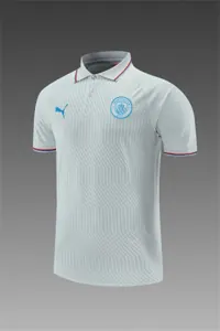 Manchester City Polo grey stripes 8