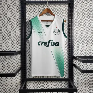 23-24 Palmeiras away tank