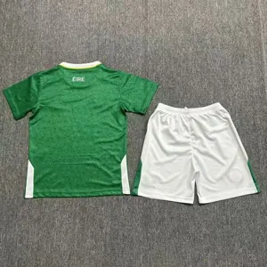 2024 Ireland Home Kid Kits Youth Apparels Soccer Jerseys Yupoo 1