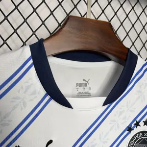 24-25 Fenerbahce Away Shirt Soccer Uniforms Soccer AAAAJersey Yupoo 1