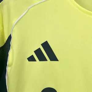 25-26 Fenerbahce Away Kit Shirt Soccer Uniforms Soccer AAAAJersey Supply Yupoo 5