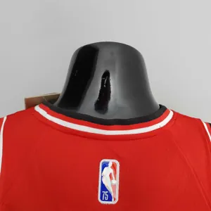 75th Anniversary 2022 Season Chicago Bulls DeROZAN#11 City Edition Red NBA Jersey 5