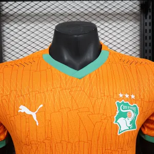 2025 Cote d'Ivoire Home Kit Player Version Football T-Shirt Sport ete AAAAJersey Supply Yupoo 5