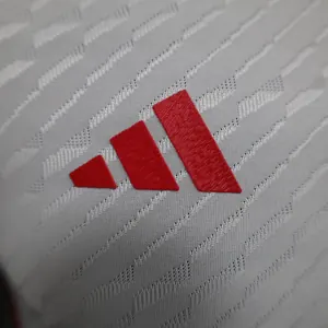 2024 United Arab Emirates Home Kit Player Version Shirt Football AAAAJerseys Yupoo 2